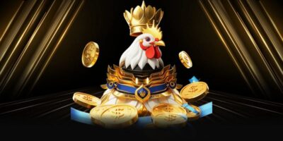 Đá gà sv388 - tham gia đá gà online, kèo chất, tỷ lệ thắng cao
