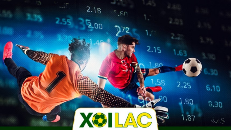 Chiến thuật cá cược hiệu quả – Quản lý vốn, đọc kèo và kiểm soát tâm lý